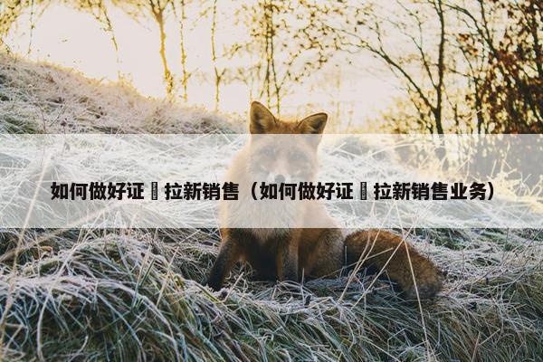 如何做好证劵拉新销售（如何做好证劵拉新销售业务）