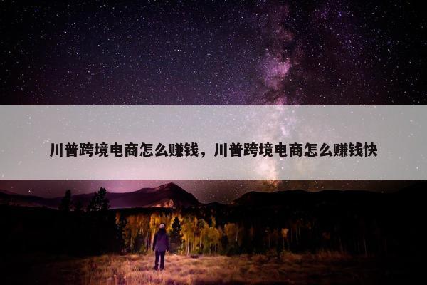 川普跨境电商怎么赚钱，川普跨境电商怎么赚钱快