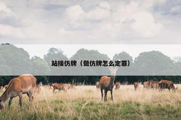 站接仿牌（做仿牌怎么定罪）