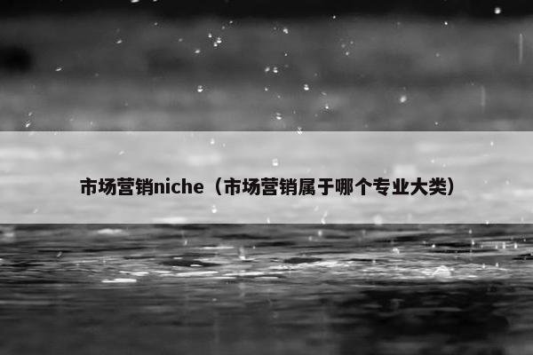 市场营销niche（市场营销属于哪个专业大类）