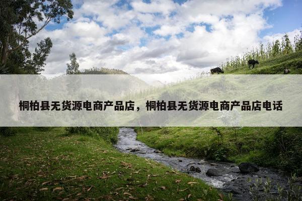 桐柏县无货源电商产品店，桐柏县无货源电商产品店电话