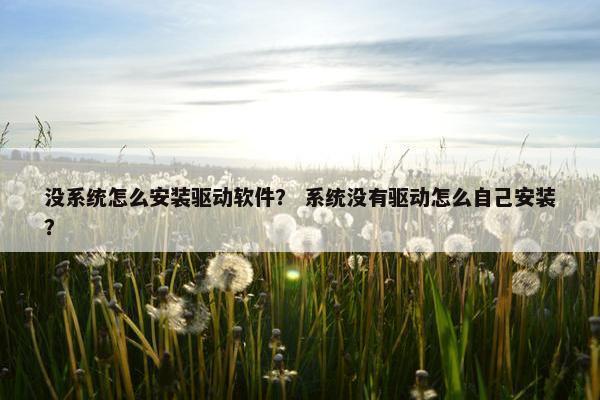 没系统怎么安装驱动软件？ 系统没有驱动怎么自己安装？