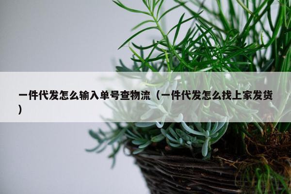 一件代发怎么输入单号查物流（一件代发怎么找上家发货）