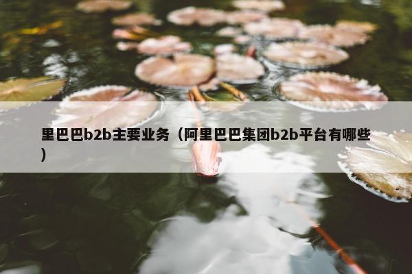里巴巴b2b主要业务（阿里巴巴集团b2b平台有哪些）