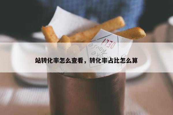 站转化率怎么查看，转化率占比怎么算