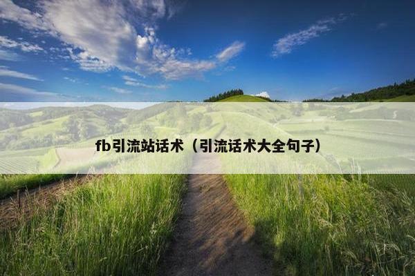 fb引流站话术（引流话术大全句子）