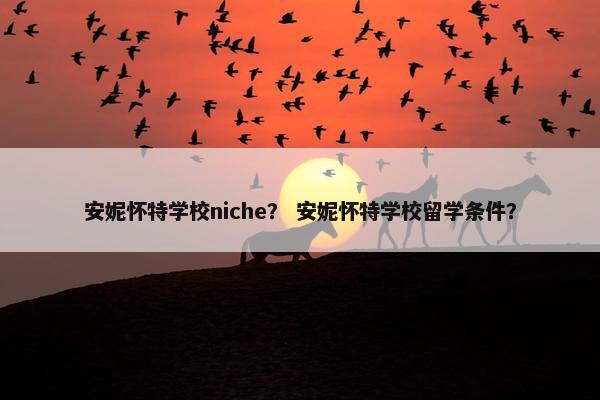安妮怀特学校niche？ 安妮怀特学校留学条件？