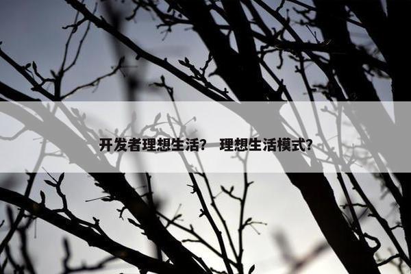 开发者理想生活？ 理想生活模式？