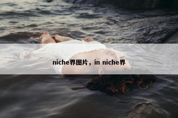 niche界图片，in niche界