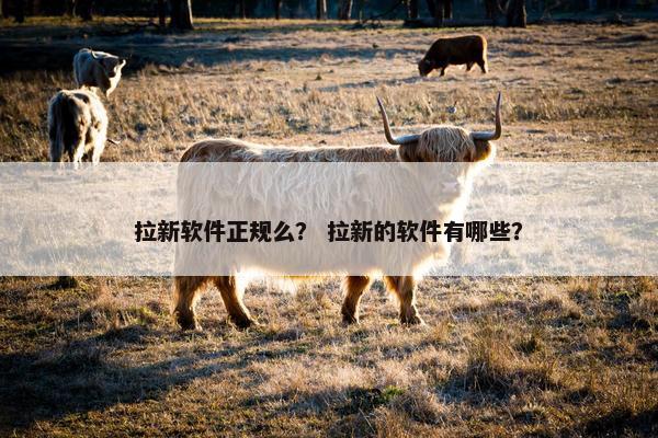 拉新软件正规么？ 拉新的软件有哪些？