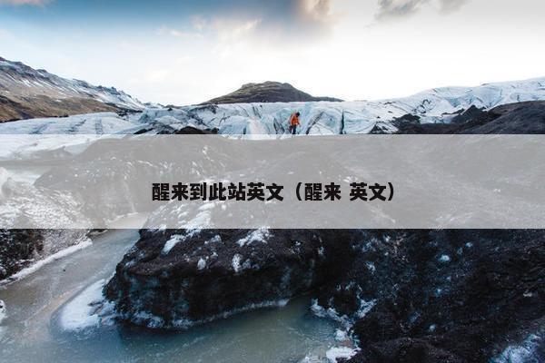 醒来到此站英文（醒来 英文）