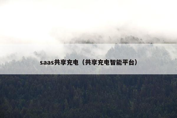 saas共享充电（共享充电智能平台）