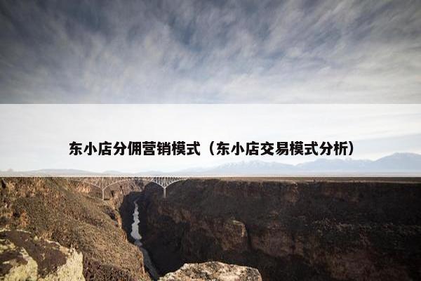 东小店分佣营销模式（东小店交易模式分析）