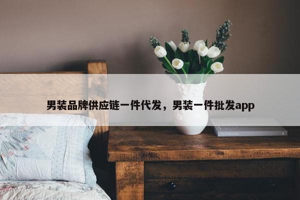 男装品牌供应链一件代发，男装一件批发app