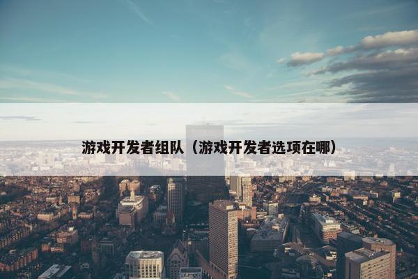 游戏开发者组队（游戏开发者选项在哪）