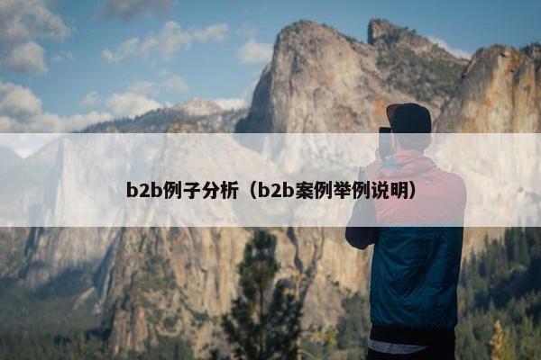 b2b例子分析（b2b案例举例说明）