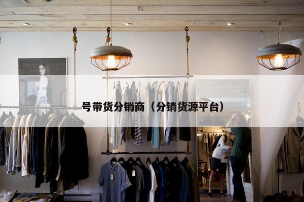 号带货分销商（分销货源平台）