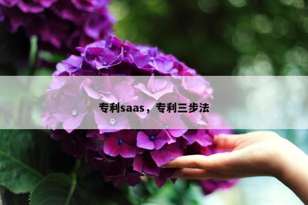 专利saas，专利三步法