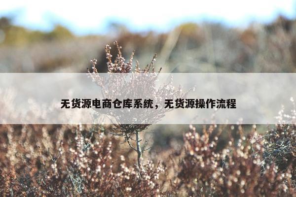 无货源电商仓库系统，无货源操作流程