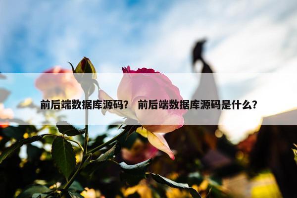 前后端数据库源码？ 前后端数据库源码是什么？