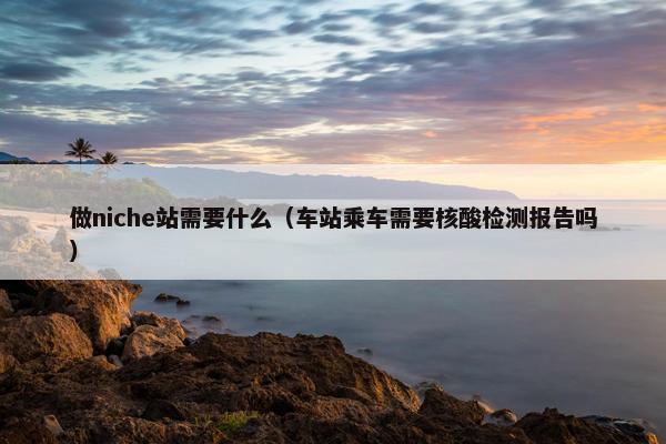 做niche站需要什么（车站乘车需要核酸检测报告吗）