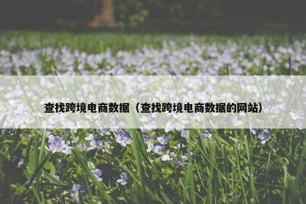 查找跨境电商数据（查找跨境电商数据的网站）