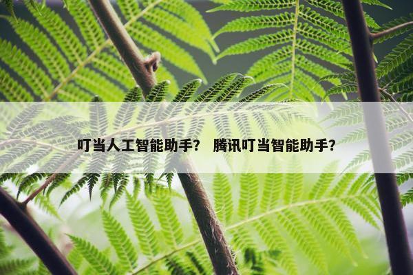 叮当人工智能助手？ 腾讯叮当智能助手？