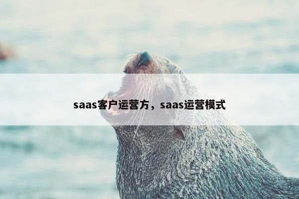 saas客户运营方，saas运营模式