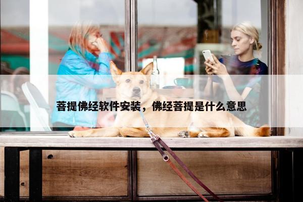 菩提佛经软件安装，佛经菩提是什么意思