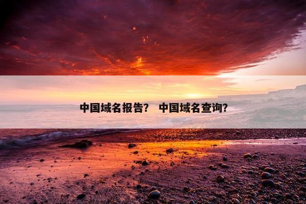中国域名报告？ 中国域名查询？