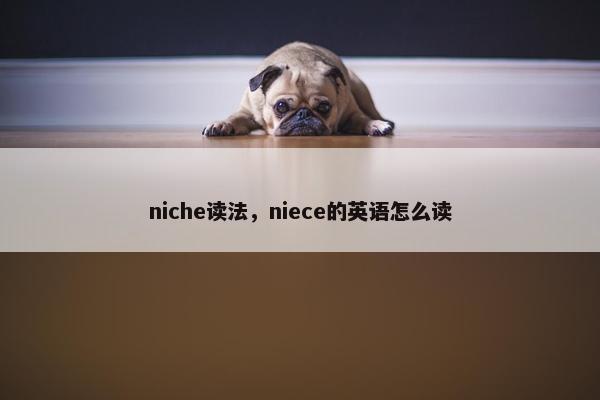 niche读法，niece的英语怎么读