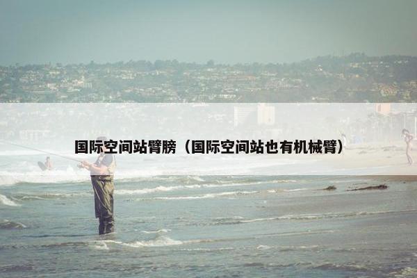 国际空间站臂膀（国际空间站也有机械臂）