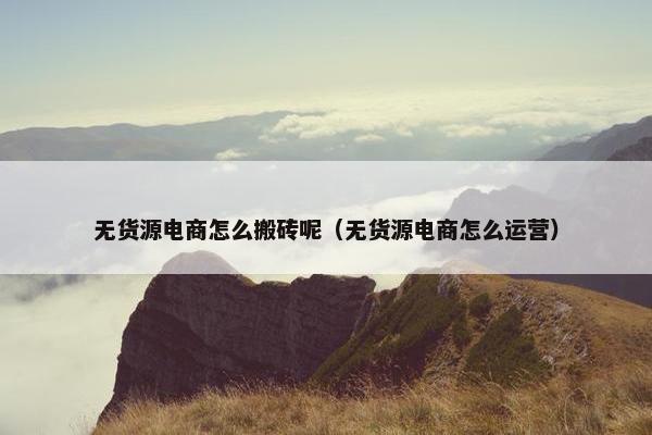 无货源电商怎么搬砖呢（无货源电商怎么运营）