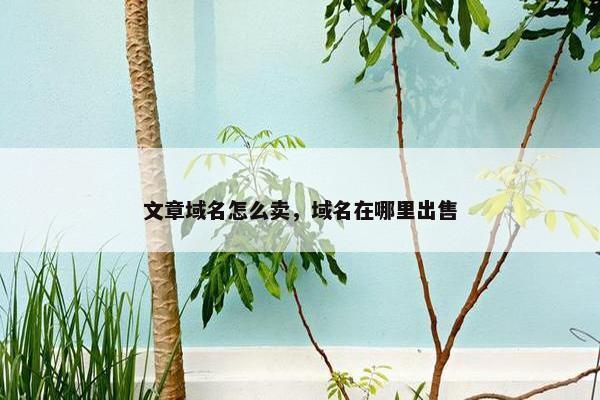 文章域名怎么卖，域名在哪里出售