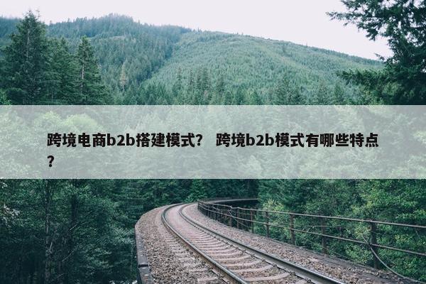 跨境电商b2b搭建模式？ 跨境b2b模式有哪些特点？