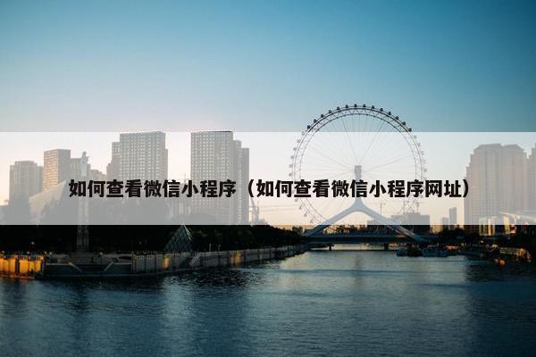 如何查看微信小程序（如何查看微信小程序网址）