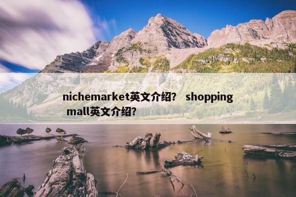 nichemarket英文介绍？ shopping mall英文介绍？