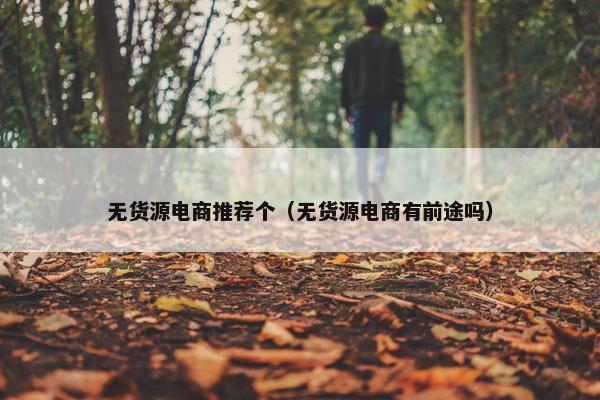 无货源电商推荐个（无货源电商有前途吗）