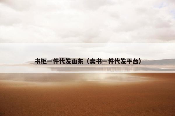 书柜一件代发山东（卖书一件代发平台）