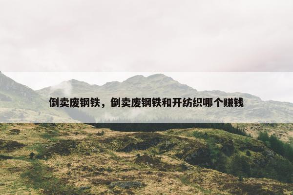 倒卖废钢铁，倒卖废钢铁和开纺织哪个赚钱