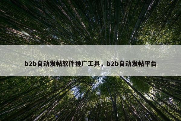 b2b自动发帖软件推广工具，b2b自动发帖平台