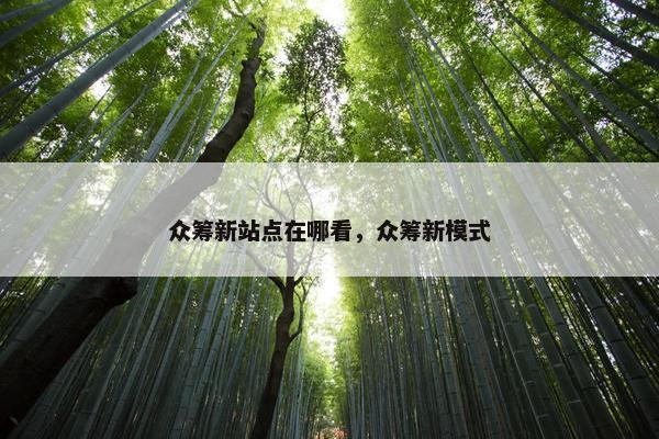 众筹新站点在哪看，众筹新模式