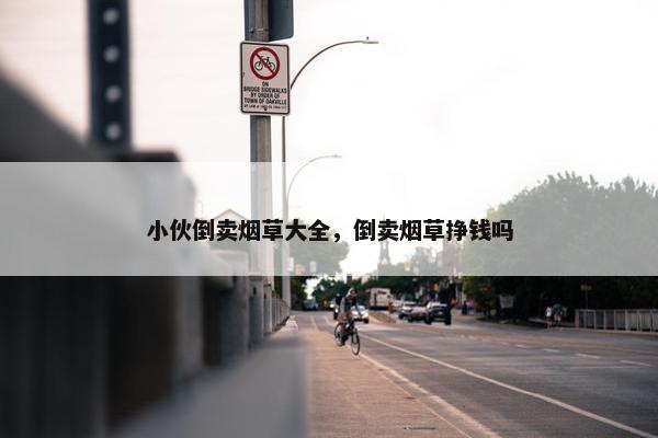 小伙倒卖烟草大全，倒卖烟草挣钱吗