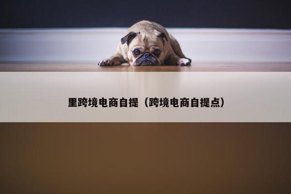 里跨境电商自提（跨境电商自提点）
