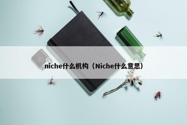 niche什么机构（Niche什么意思）