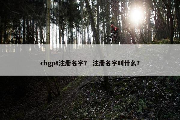 chgpt注册名字？ 注册名字叫什么？