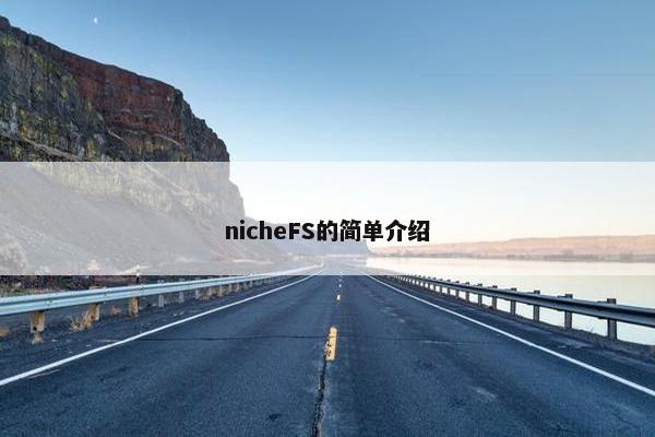 nicheFS的简单介绍