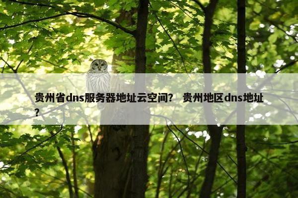 贵州省dns服务器地址云空间？ 贵州地区dns地址？