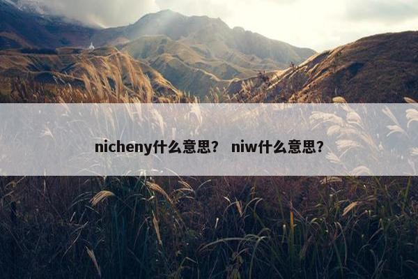 nicheny什么意思？ niw什么意思？