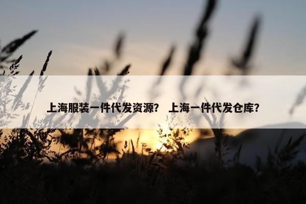 上海服装一件代发资源？ 上海一件代发仓库？